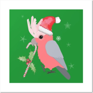 A cute Christmas galah cockatoo Posters and Art